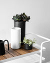 Embers Bowl Planter - Small Charred - Mosshead Trading Co