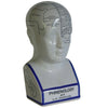 Human Mind 22cm - PRE-ORDER/ARRIVING JUNE - Mosshead Trading Co