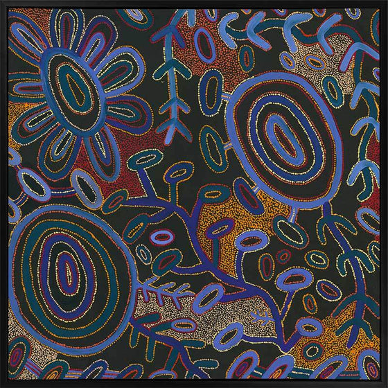 Warlukurlangu Jukurrpa Canvas Art Print