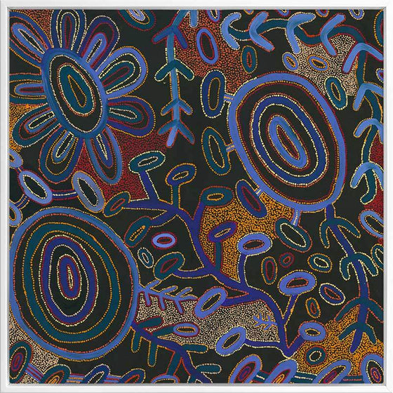 Warlukurlangu Jukurrpa Canvas Art Print