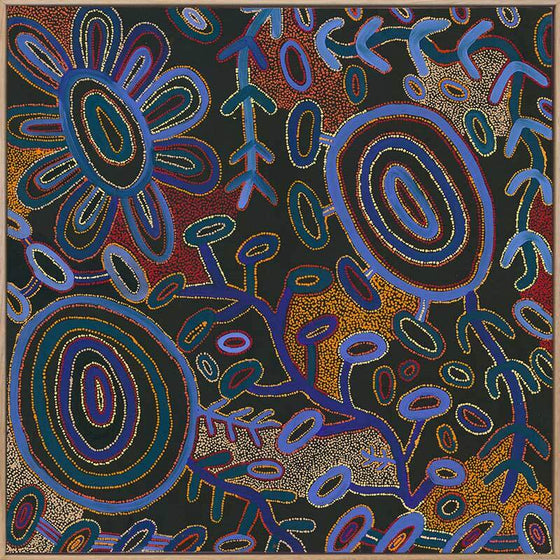 Warlukurlangu Jukurrpa Canvas Art Print