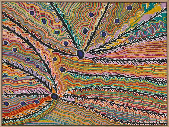 Wakirpirri Jukurrpa Multicolor Jukurrpa I Canvas Art Print