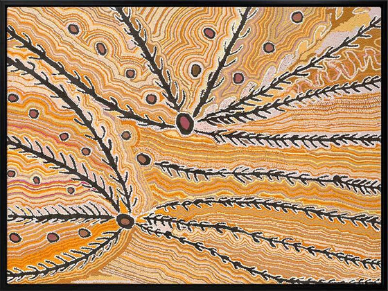 Wakirlpirri Jukurrpa Ochre Canvas Art Print