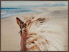 Beach Horse Canvas Art Print