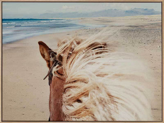 Beach Horse Canvas Art Print