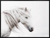 Stallion Art Print