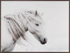 Stallion Art Print