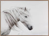 Stallion Art Print