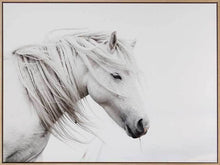  Stallion Art Print