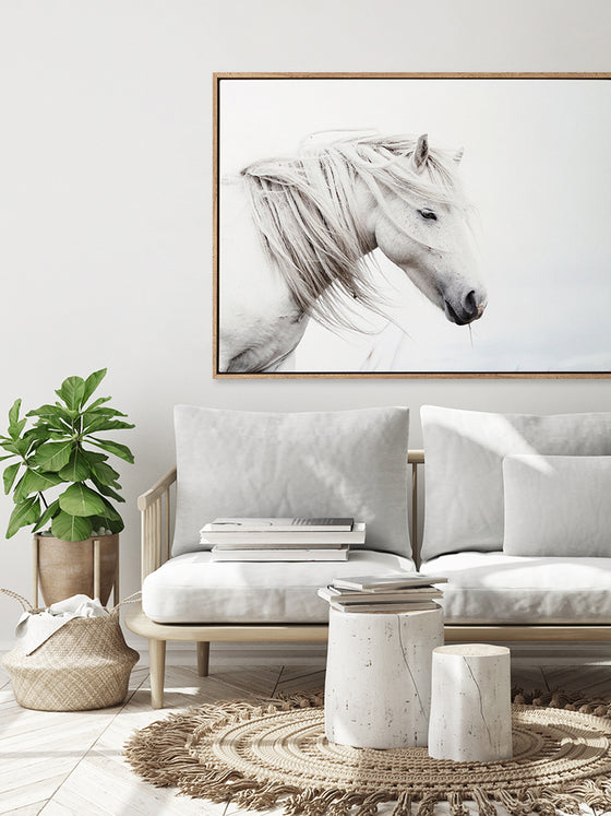 Stallion Art Print