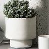 Podium Pot - Medium White - Mosshead Trading Co