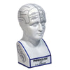 Phrenology Head Large 28cm