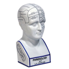  Phrenology Head Large 28cm