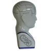 Phrenology Head Large 28cm