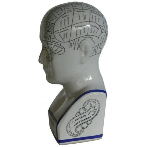 Phrenology Head Large 28cm