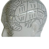 Phrenology Head Large 28cm