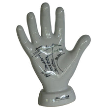  Large Palmistry Hand 23cm