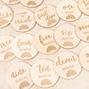 Baby Milestone Wooden Discs