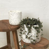 Eydis Curved Mini Flecked Pot - Mosshead Trading Co